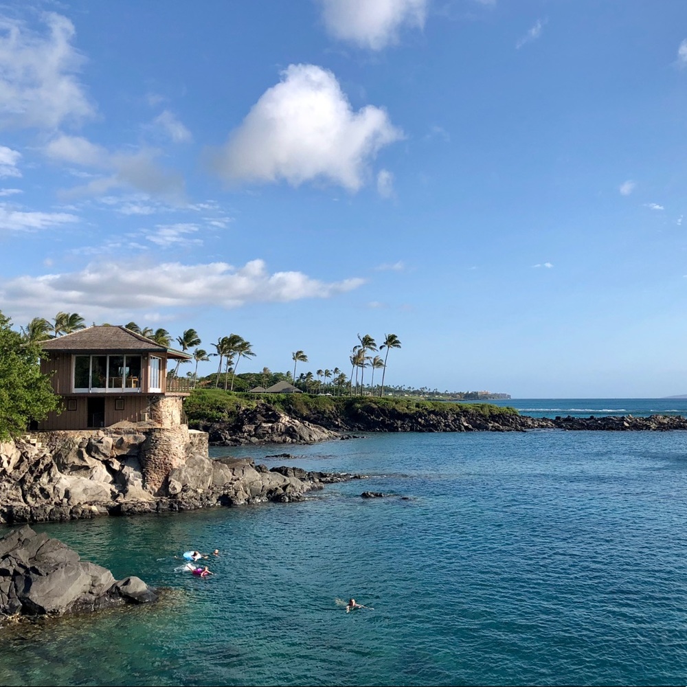 Meet your Posher, Anne